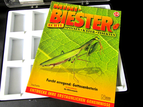 Sammel schau kasten box - sammel, 15