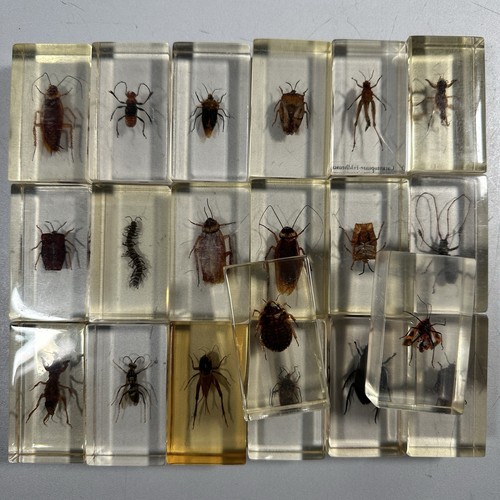 20x insekten epoxidharz mini - 20x,
