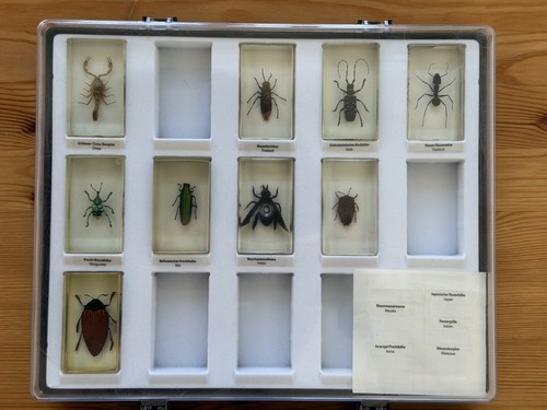Insekten acrylblock mit - insekten,