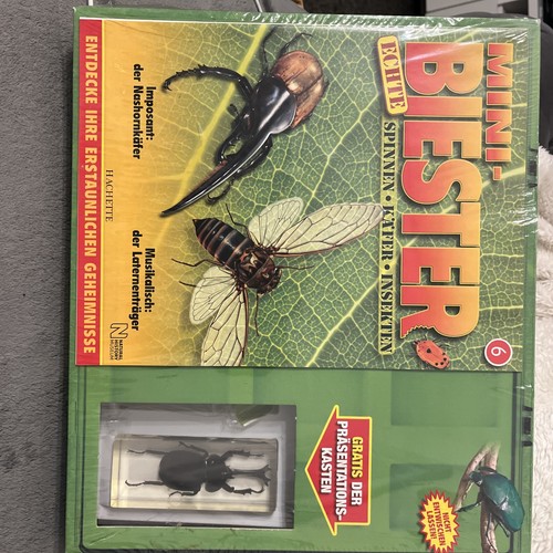 Mini biester sammlung insekten - sammlung,