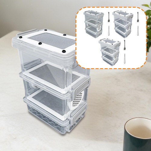 Crickets brutkasten terrarium - brutkasten,