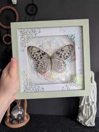 Idea schmetterling - idea,