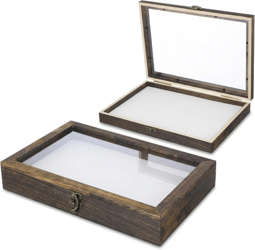 Insektenbox mit glasdeckel - insektenbox,