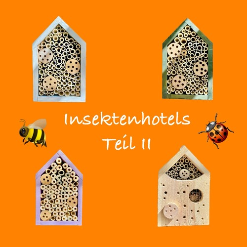 Neu insektenhotel insektenhaus - neu,